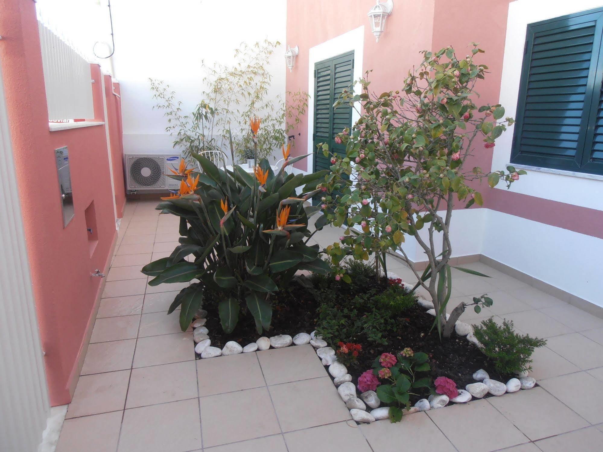 Casa Morgados - Grandola Guesthouse Экстерьер фото